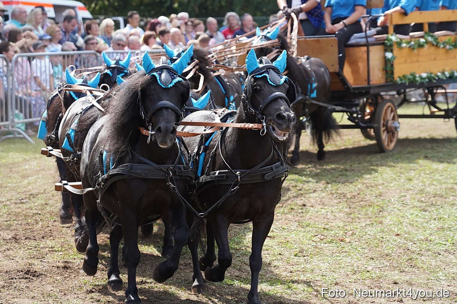 Pferde und Fohlenschau 2022 0314 